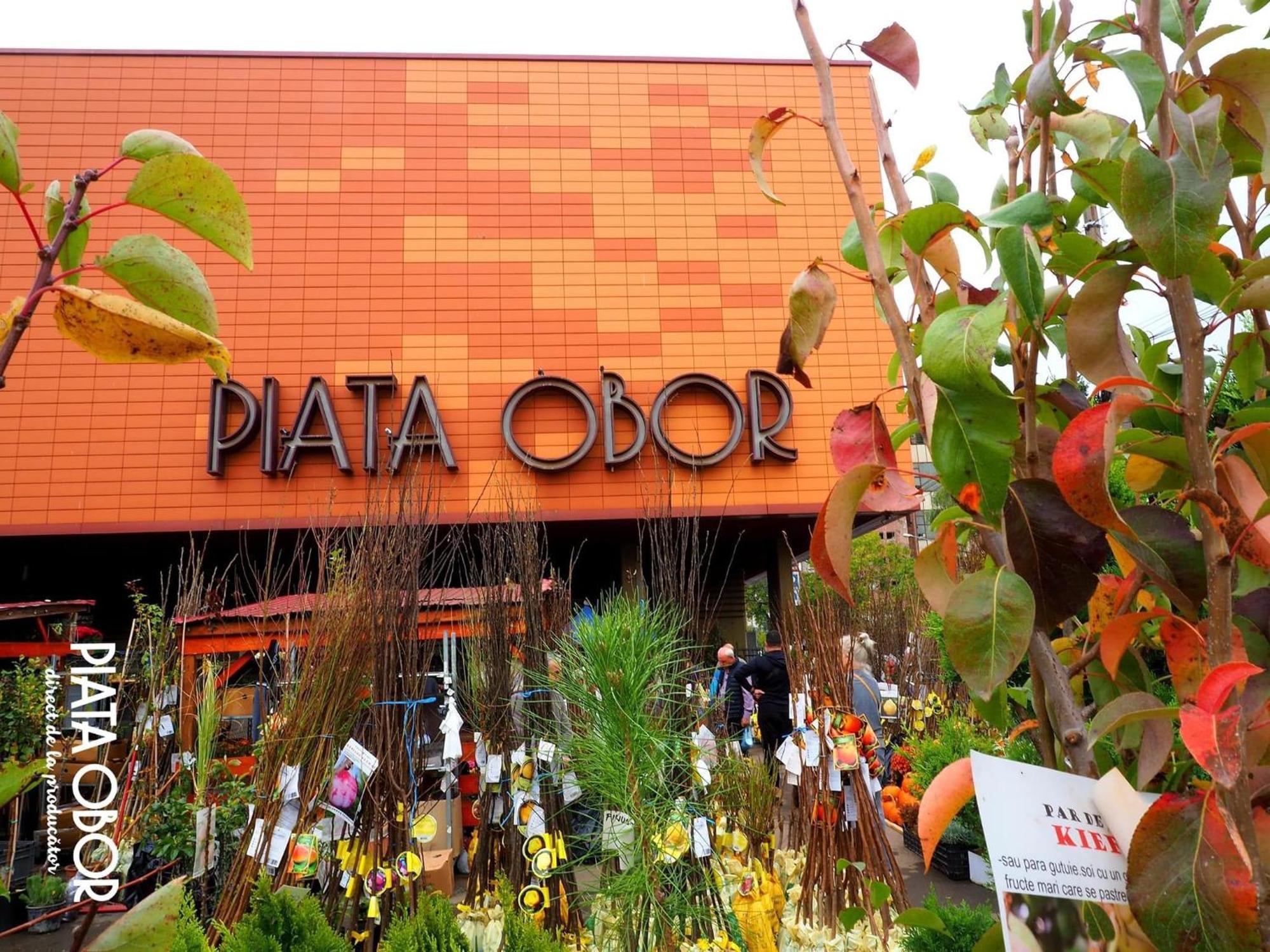 Cozy City Retreat, Obor Market & Metro بوخارست المظهر الخارجي الصورة